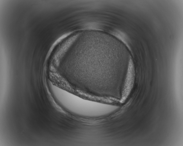 X0000085320987200703302040