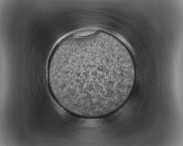 X0000085320988200703302040