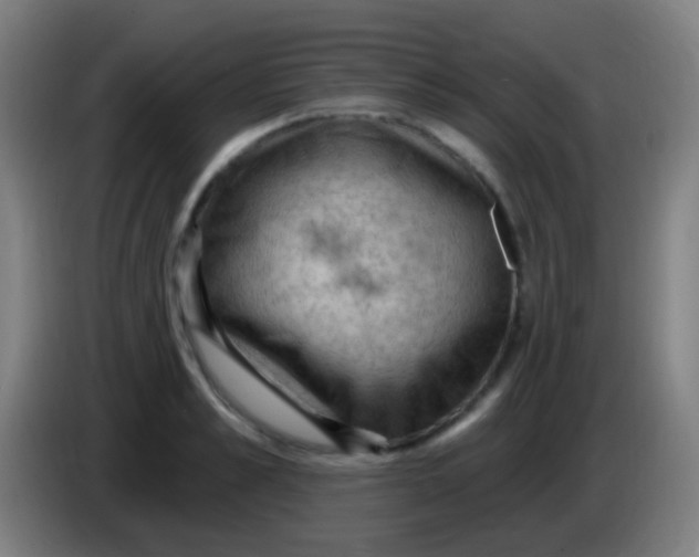 X0000085320989200703302040