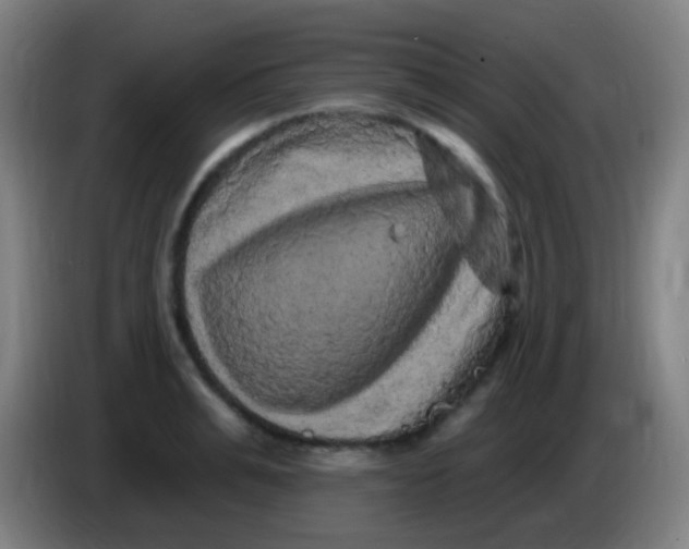 X0000085320991200703302040