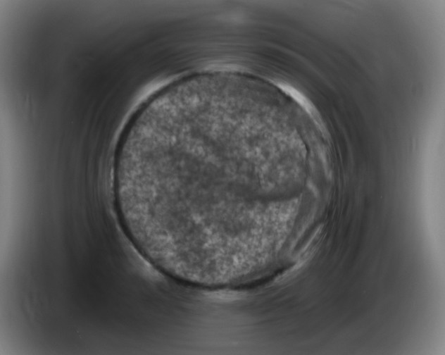 X0000085320992200703302040