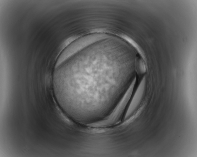 X0000085320993200703302040