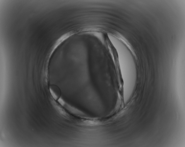 X0000085320994200703302040