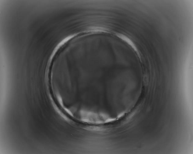 X0000085320995200703302040