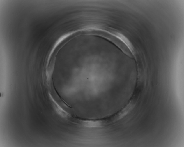 X0000085320996200703302040