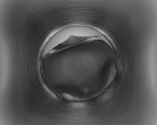 X0000085320998200703302040