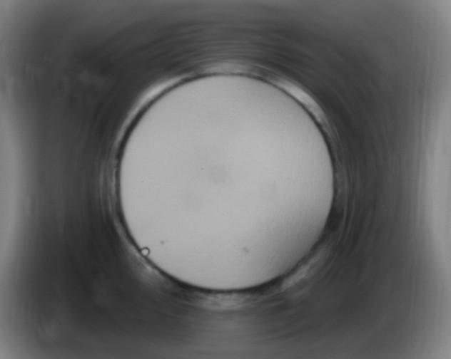 X0000085321000200703302040