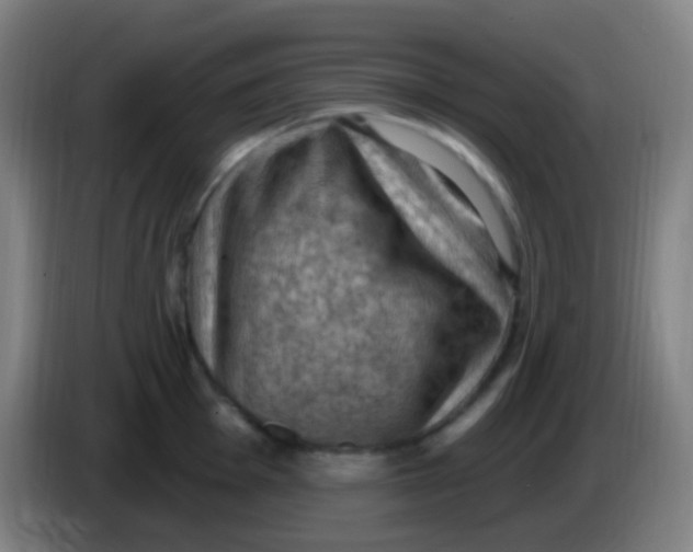 X0000085321001200703302040