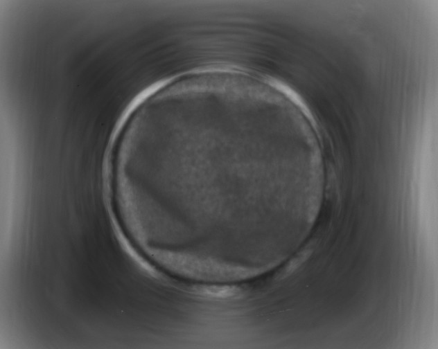 X0000085321003200703302040