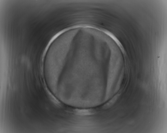 X0000085321004200703302040