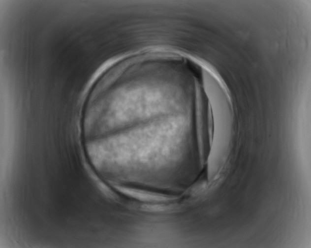 X0000085321005200703302040