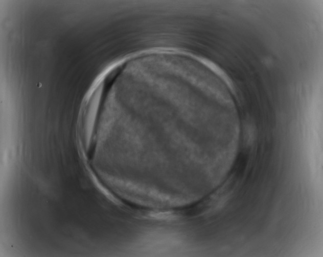 X0000085321006200703302040