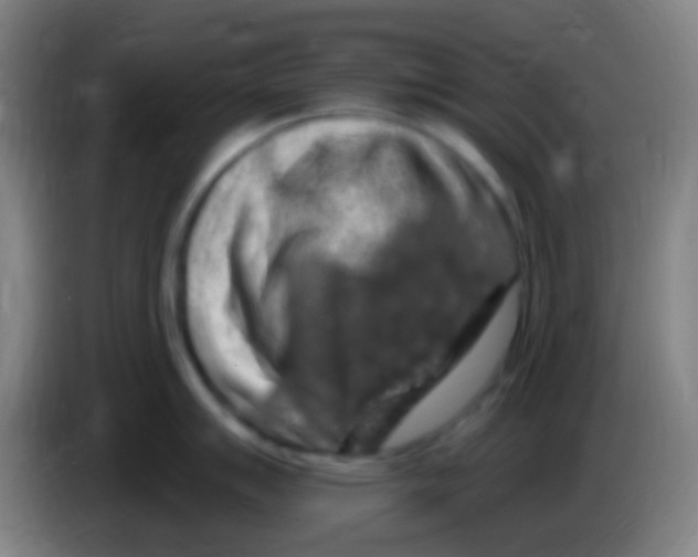 X0000085321007200703302040