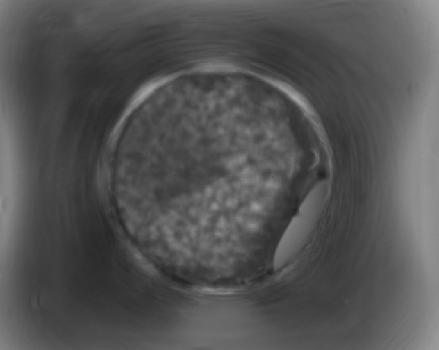 X0000085321008200703302040