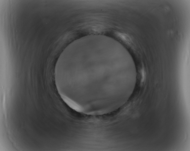 X0000085321009200703302039