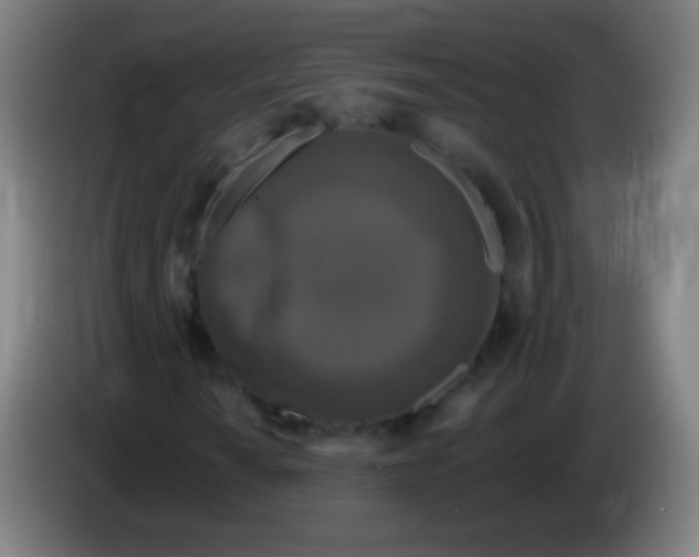 X0000085321010200703302039