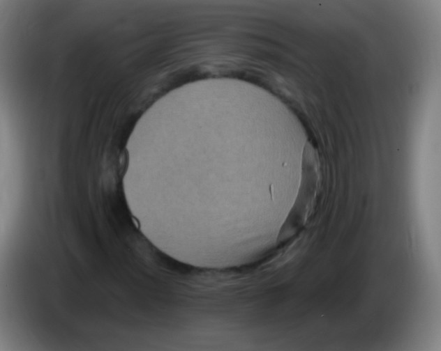 X0000085321012200703302039