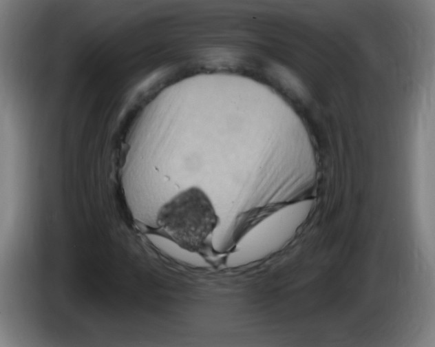 X0000085321016200703302040