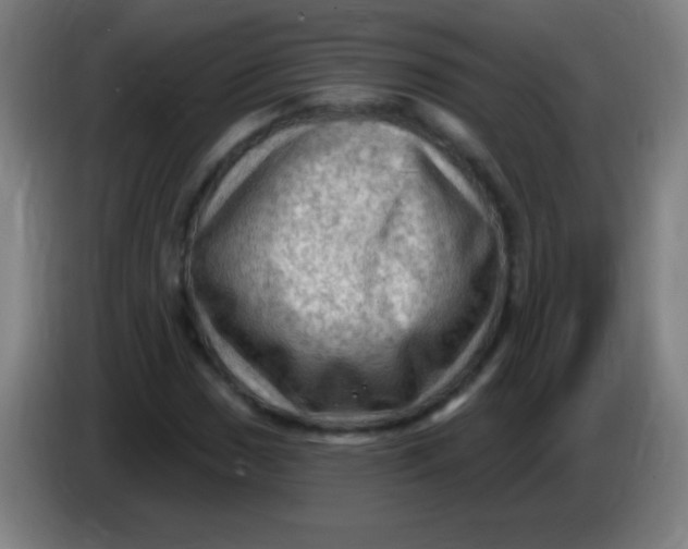 X0000085321017200703302040