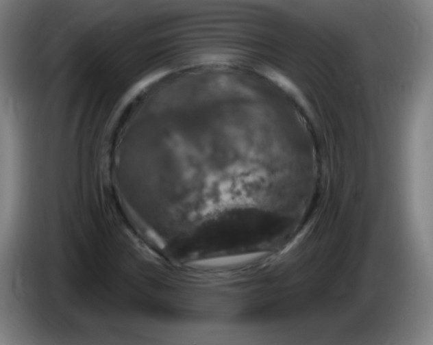 X0000085321019200703302040