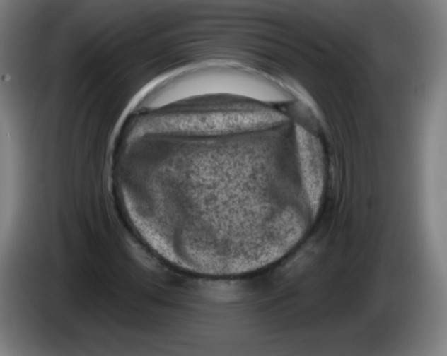 X0000085321020200703302040