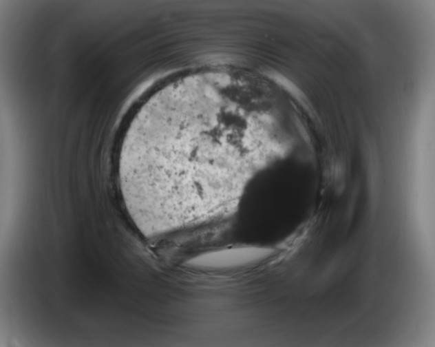 X0000085321023200703302040