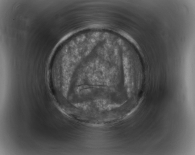 X0000085321029200703302040