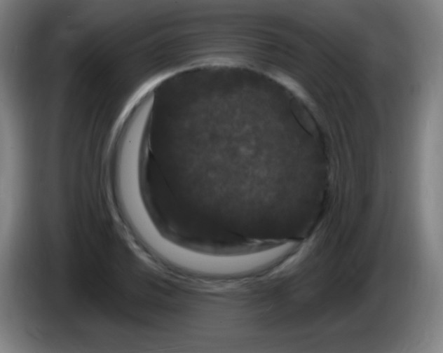 X0000085321030200703302040