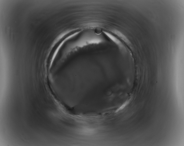 X0000085321031200703302040