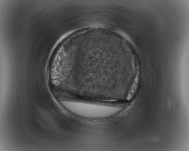 X0000085321032200703302040