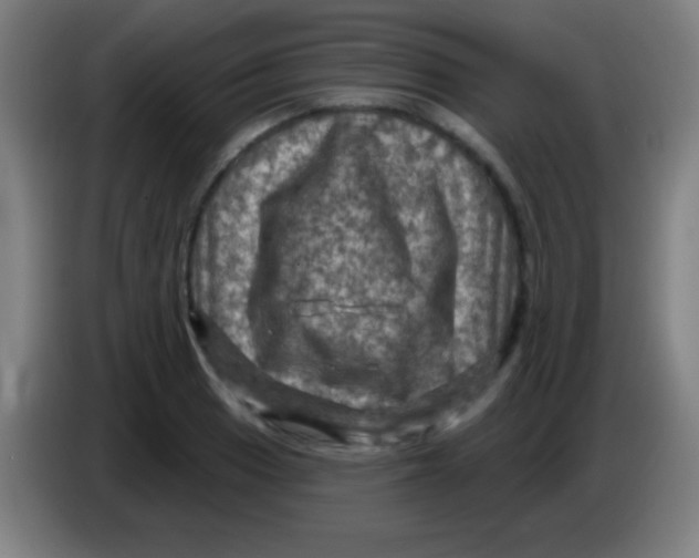 X0000085321033200703302040