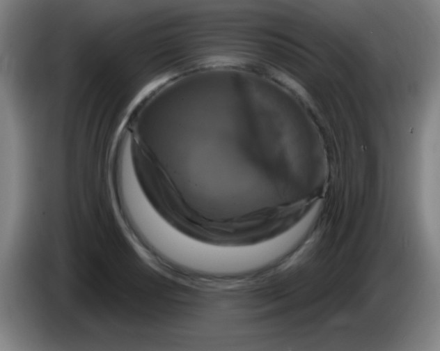 X0000085321034200703302040