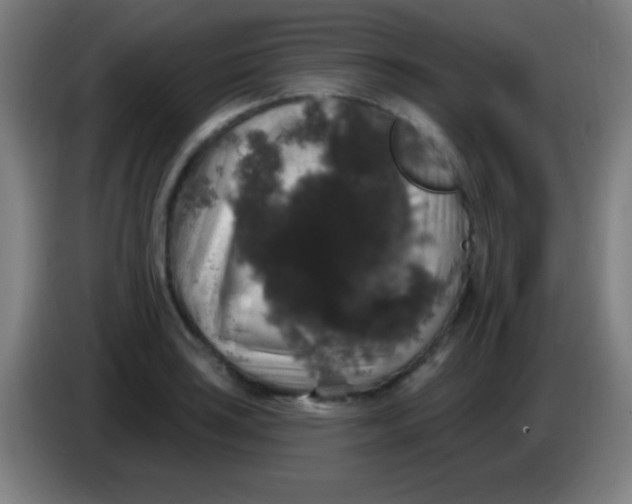 X0000085321035200703302040