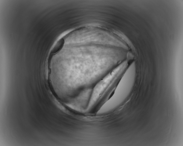 X0000085321036200703302040