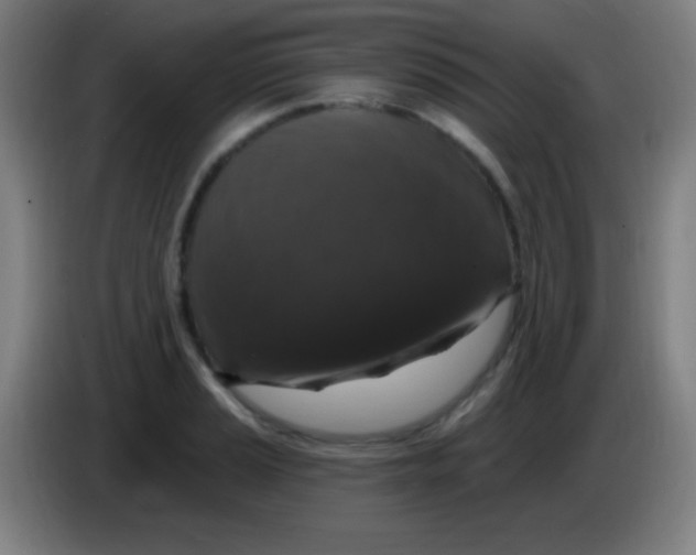 X0000085321037200703302040