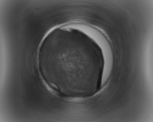 X0000085321038200703302040