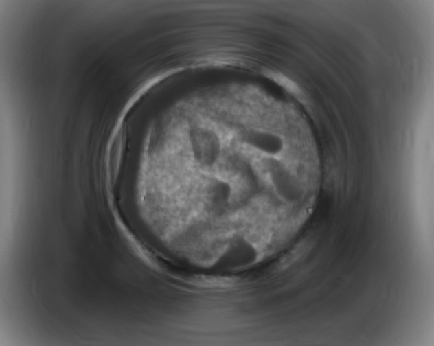 X0000085321039200703302040