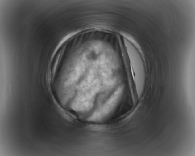 X0000085321040200703302040