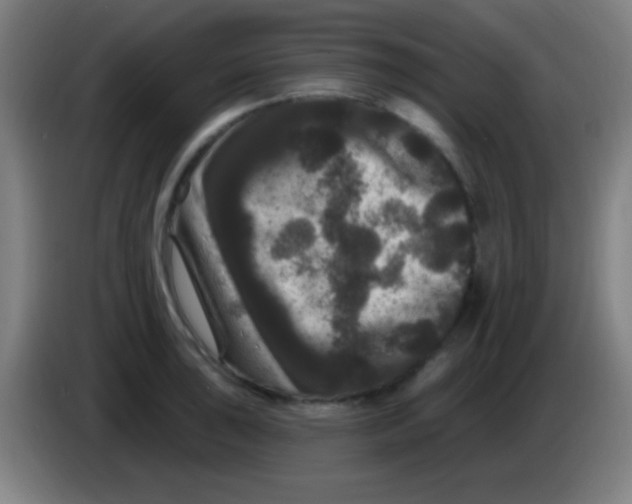 X0000085321043200703302040