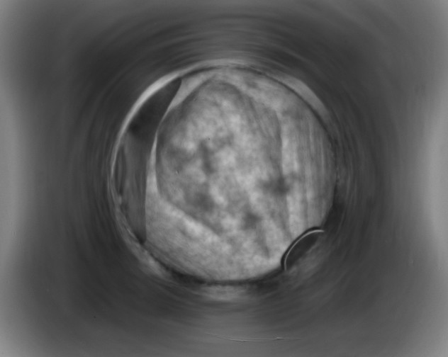 X0000085321044200703302040