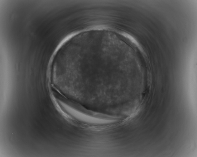 X0000085321046200703302040