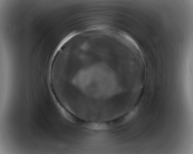 X0000085321050200703302040