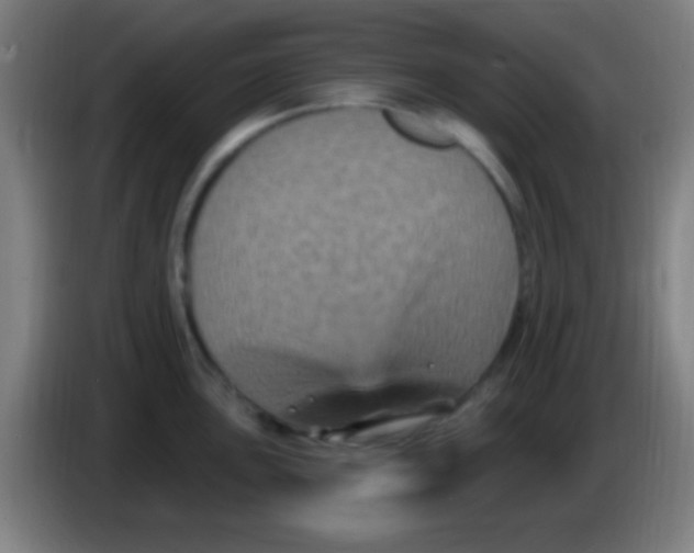 X0000085321051200703302040