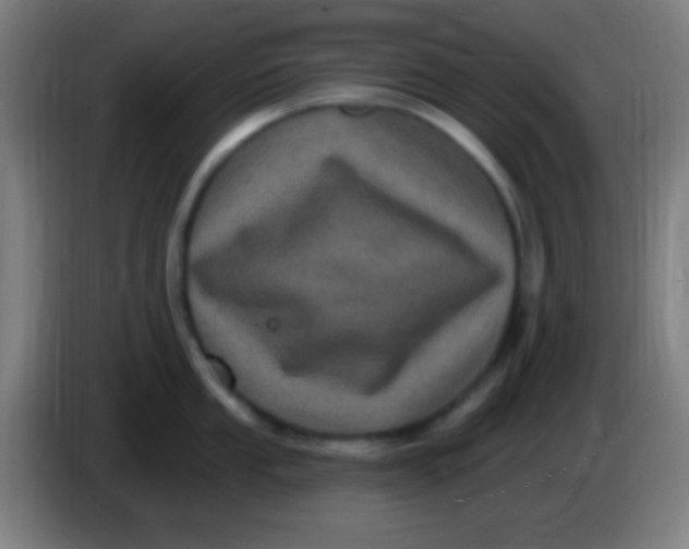 X0000085321053200703302040