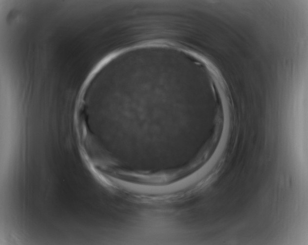 X0000085321054200703302040