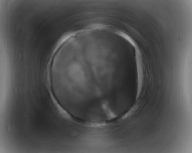 X0000085321055200703302040