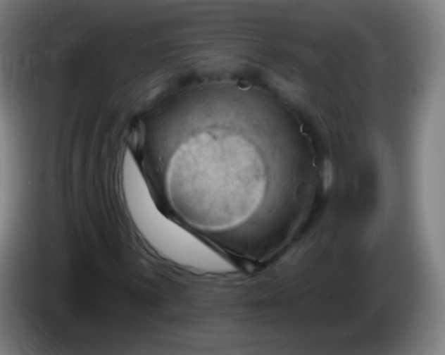 X0000085321059200703302039