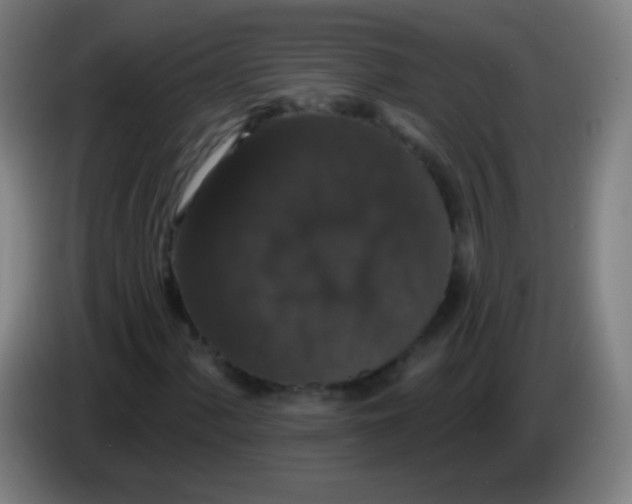 X0000085321060200703302039