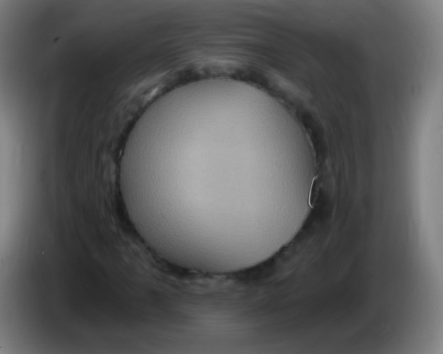 X0000085321061200703302039