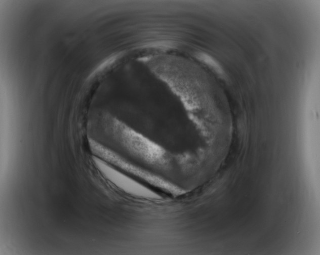 X0000085321064200703302039